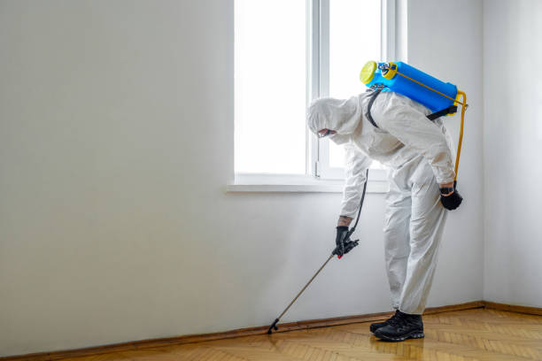 Real Estate Pest Inspections in Trophy Clu, TX